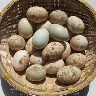 农场自产鸭蛋
